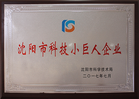 Shenyang Science  technology giant enterprise